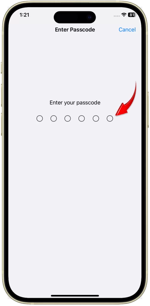 enter your passcode on your iPhone 15