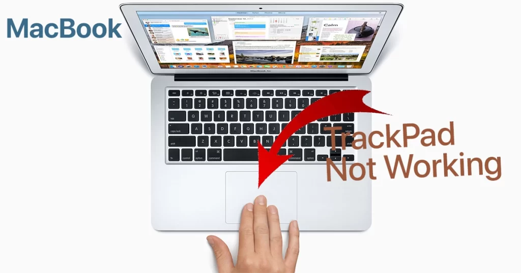 MacBook TrackPad Not Working